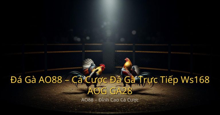 Đá Gà AO88 – Cá Cược Đá Gà Trực Tiếp Ws168, AOG, GA28 Uy Tín