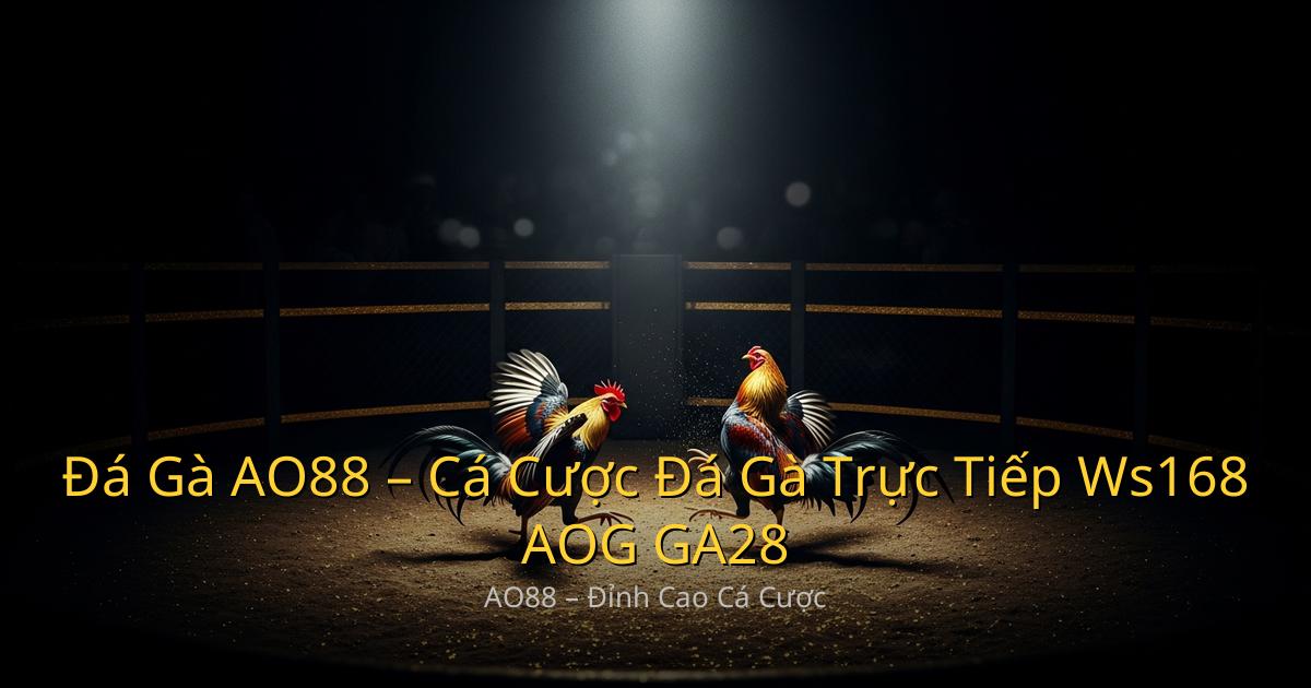 Đá Gà AO88 – Cá Cược Đá Gà Trực Tiếp Ws168, AOG, GA28 Uy Tín